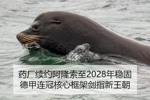 药厂续约阿隆索至2028年稳固德甲连冠核心框架剑指新王朝